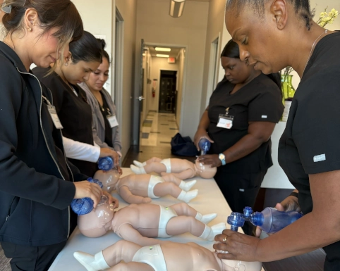 medical assistant students practicing CPR
